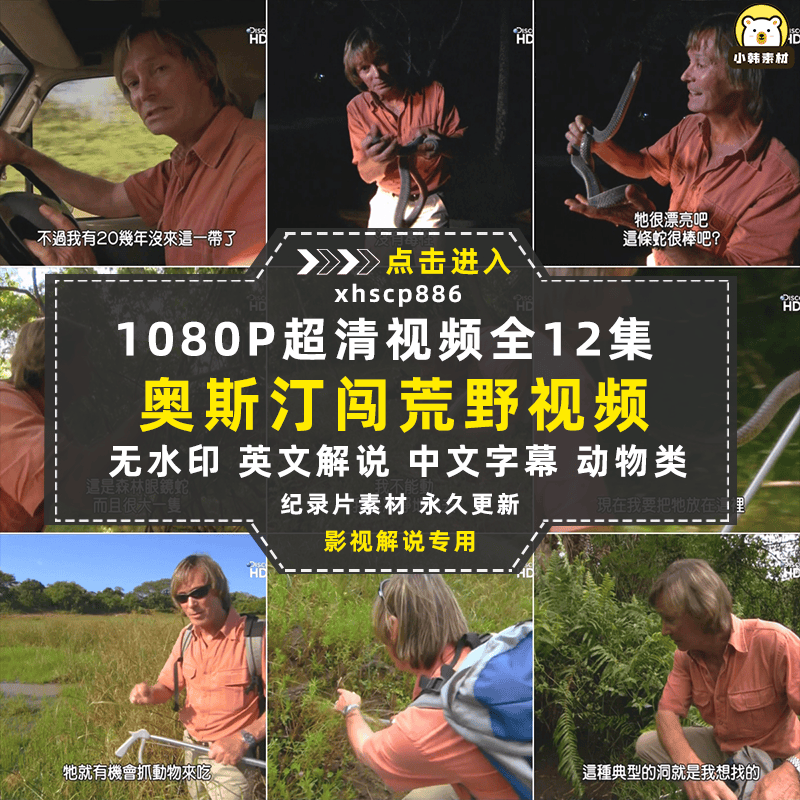 探索频道野生动物纪录片奥斯汀闯荒野中视频自媒体解说视频素材
