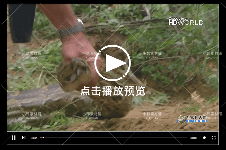 探索频道野生动物纪录片奥斯汀闯荒野中视频自媒体解说视频素材