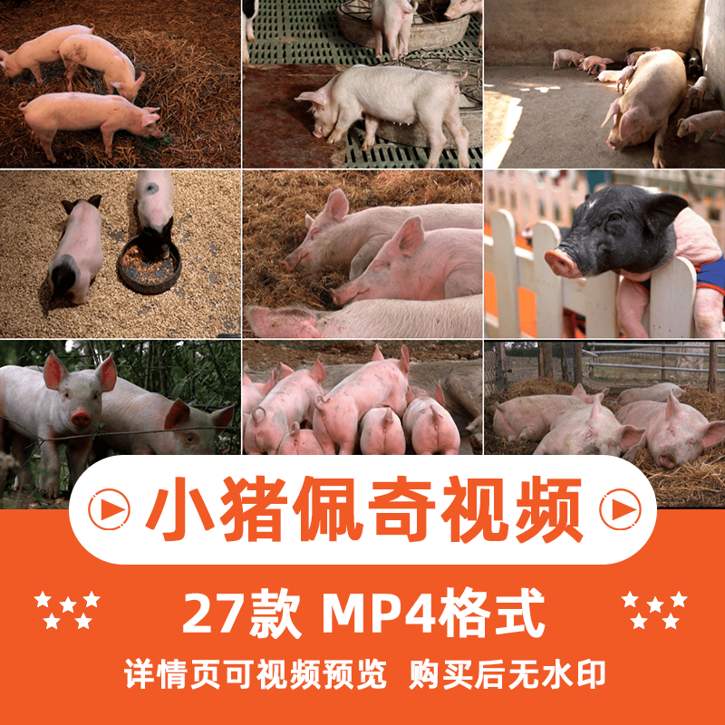 小猪佩奇可爱动物横版高清抖音自媒体pr剪辑背景视频素材