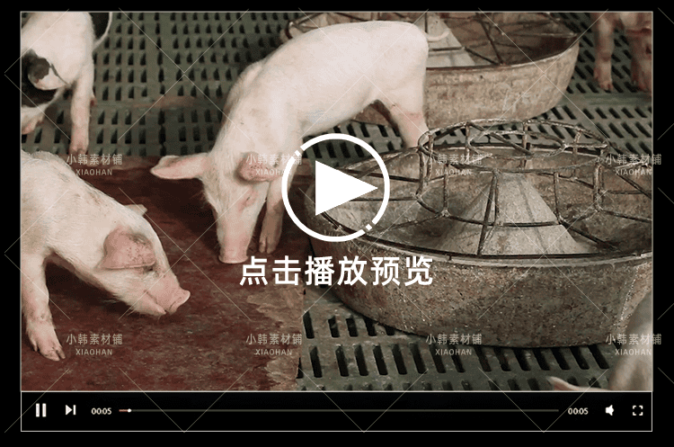 小猪佩奇可爱动物横版高清抖音自媒体pr剪辑背景视频素材