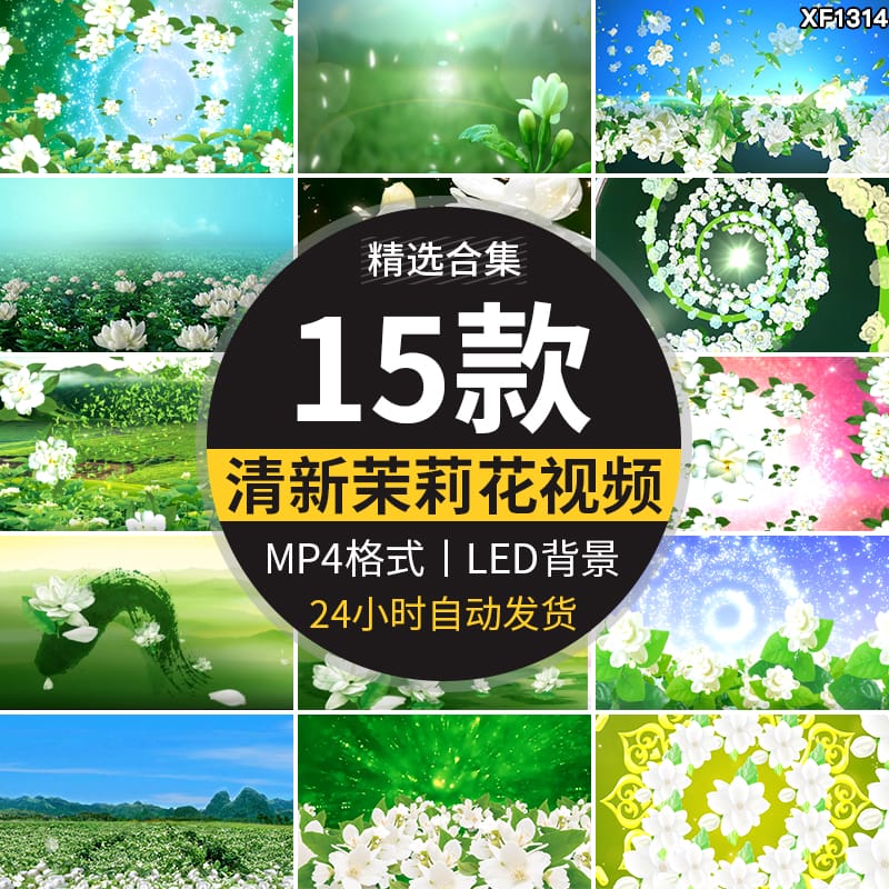 清新唯美茉莉花盛开民族歌曲舞蹈晚会舞台LED大屏幕背景视频素材