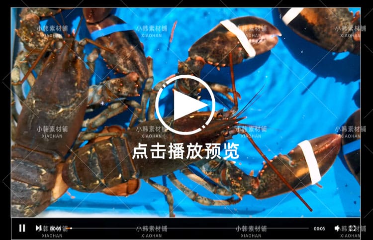 海鲜美食美味横版高清抖音自媒体pr剪辑背景视频素材