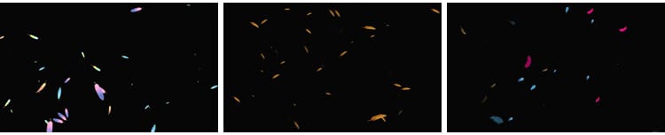 白色羽毛飘落掉落飘落彩色飞舞元素特效果透明通道pr_ae视频素材