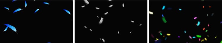 白色羽毛飘落掉落飘落彩色飞舞元素特效果透明通道pr_ae视频素材