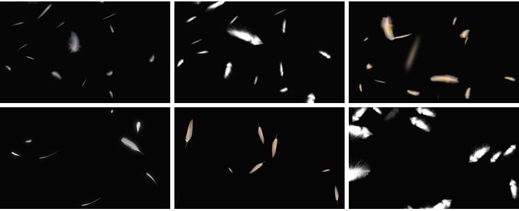 白色羽毛飘落掉落飘落彩色飞舞元素特效果透明通道pr_ae视频素材