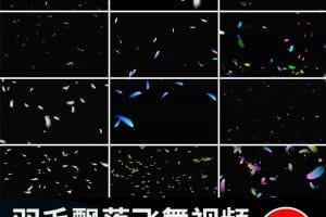 白色羽毛飘落掉落飘落彩色飞舞元素特效果透明通道pr_ae视频素材