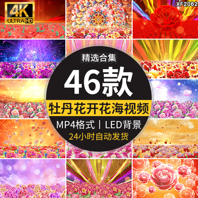 富贵牡丹花开盛世喜庆花海民族舞蹈舞台演出开场LED背景视频素材
