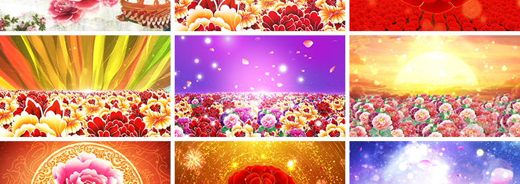 富贵牡丹花开盛世喜庆花海民族舞蹈舞台演出开场LED背景视频素材