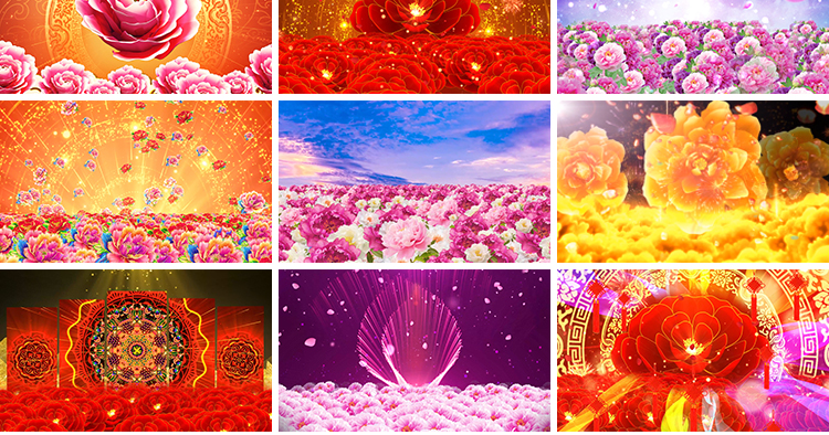 富贵牡丹花开盛世喜庆花海民族舞蹈舞台演出开场LED背景视频素材