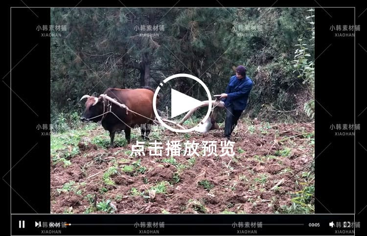 张家界城市风景横版高清抖音自媒体pr剪辑背景视频素材