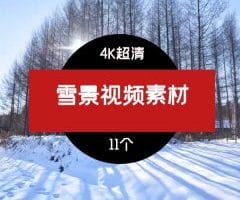 高清4K雪景视频素材04