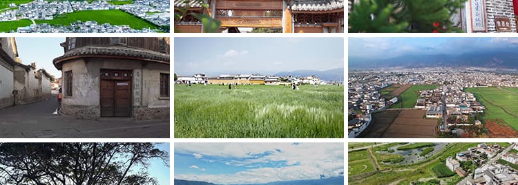 云南大理喜洲古镇旅游景点自然风景油菜花海农村全貌航拍视频素材