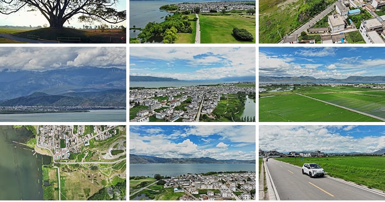 云南大理喜洲古镇旅游景点自然风景油菜花海农村全貌航拍视频素材