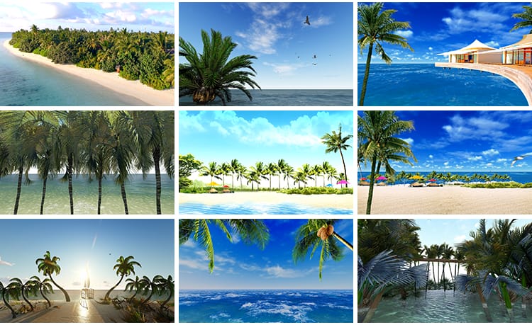 夏日阳光热带夏天清爽沙滩日落海洋浪花椰子椰树LED背景视频素材