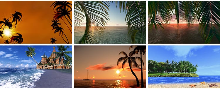 夏日阳光热带夏天清爽沙滩日落海洋浪花椰子椰树LED背景视频素材