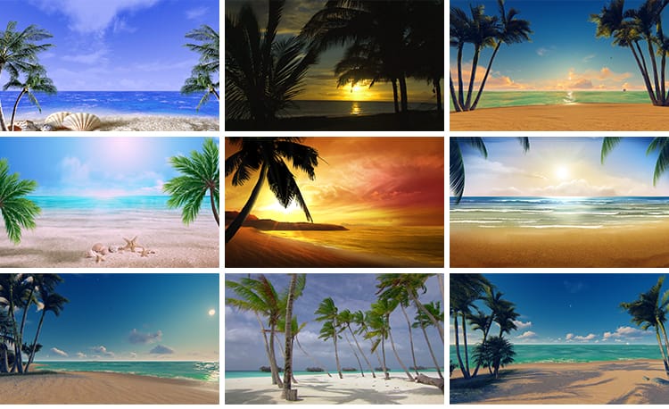 夏日阳光热带夏天清爽沙滩日落海洋浪花椰子椰树LED背景视频素材