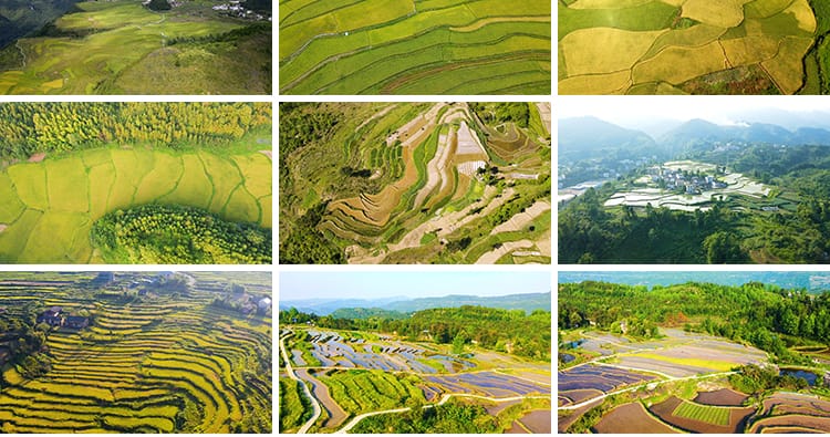 农村田园梯田自然风光油菜花田美景乡村农田高清实拍航拍视频素材