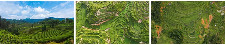 农村田园梯田自然风光油菜花田美景乡村农田高清实拍航拍视频素材