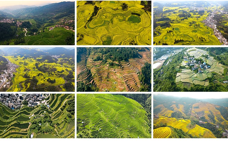 农村田园梯田自然风光油菜花田美景乡村农田高清实拍航拍视频素材