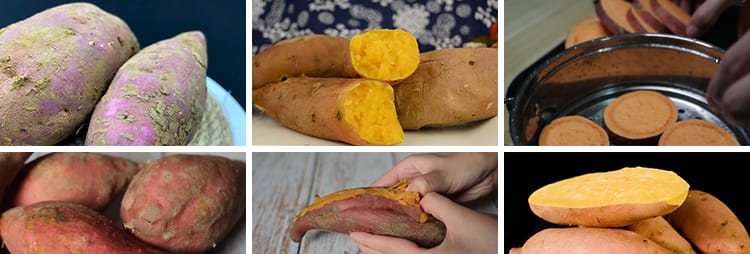 红薯番薯地瓜蜜薯特写种植收获丰收红苕甘薯农产杂粮实拍视频素材