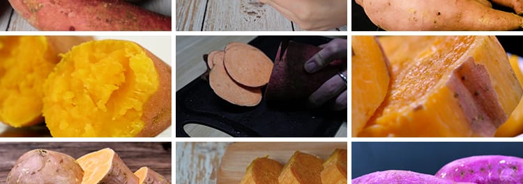 红薯番薯地瓜蜜薯特写种植收获丰收红苕甘薯农产杂粮实拍视频素材