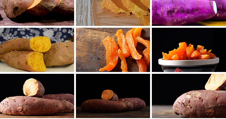 红薯番薯地瓜蜜薯特写种植收获丰收红苕甘薯农产杂粮实拍视频素材