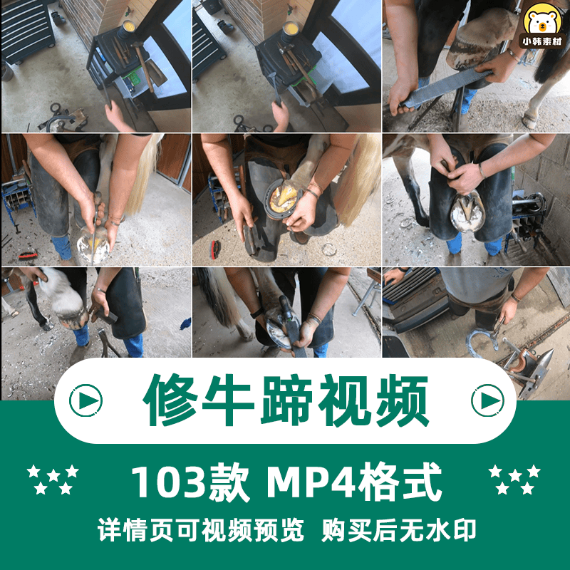 2023解压减压手艺人修理马蹄牛蹄铁锭剪毛驴指甲修复高清视频素材