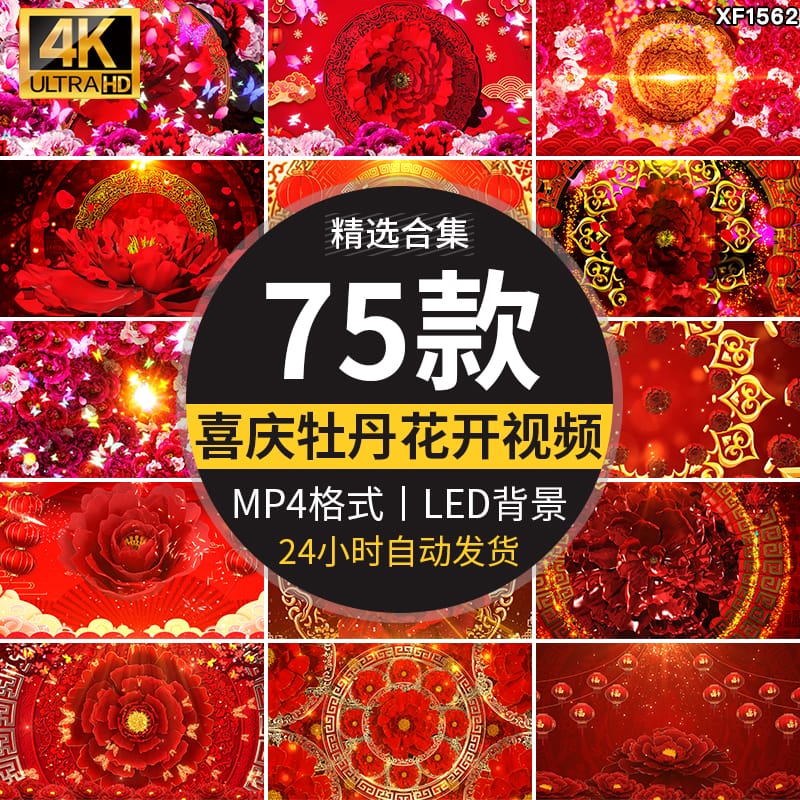4K喜庆牡丹花开富贵鲜花花瓣绽放舞台舞蹈LED大屏幕背景视频素材