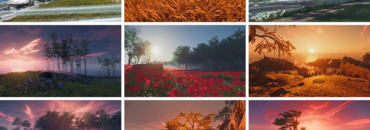 治愈系风景色唯美花海夕阳意境树林自媒体快手抖音动态短视频素材