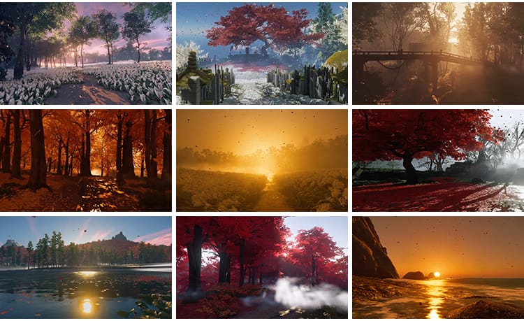 治愈系风景色唯美花海夕阳意境树林自媒体快手抖音动态短视频素材