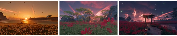 治愈系风景色唯美花海夕阳意境树林自媒体快手抖音动态短视频素材