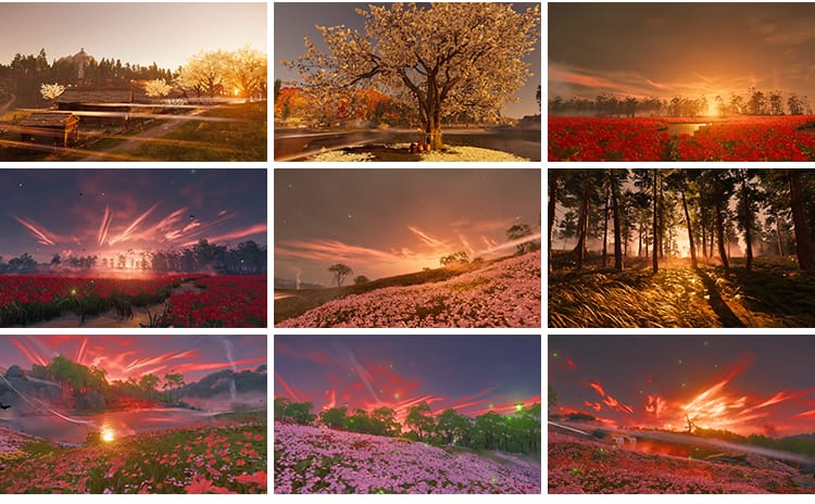 治愈系风景色唯美花海夕阳意境树林自媒体快手抖音动态短视频素材