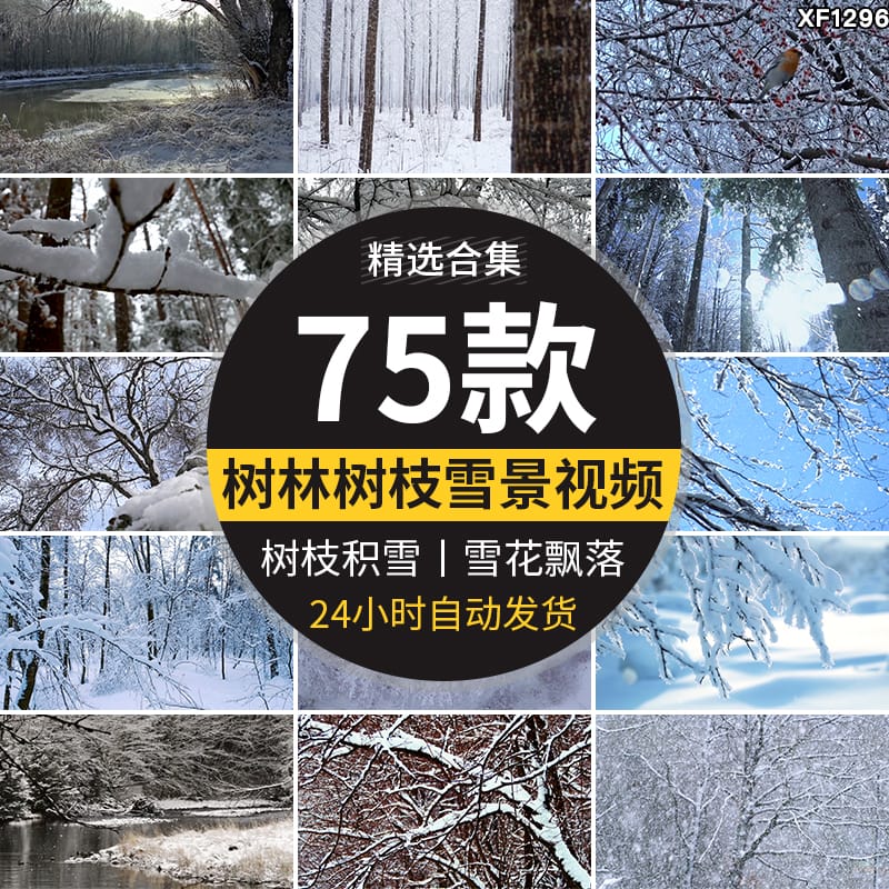 冬季雪天树林森林树枝头积雪冬天大雪花飘落枯树下雪地面视频素材