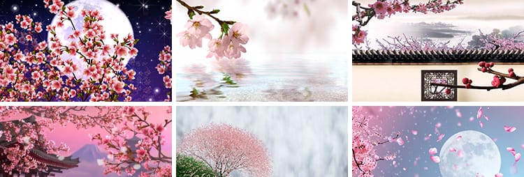 唯美桃花飞舞飘落花瓣中国风古典古风大屏幕舞台LED背景视频素材