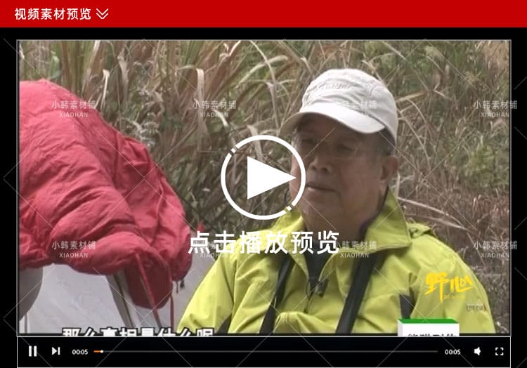 野生动物保护纪录片熊猫列传全10集中视频自媒体解说高清视频素材