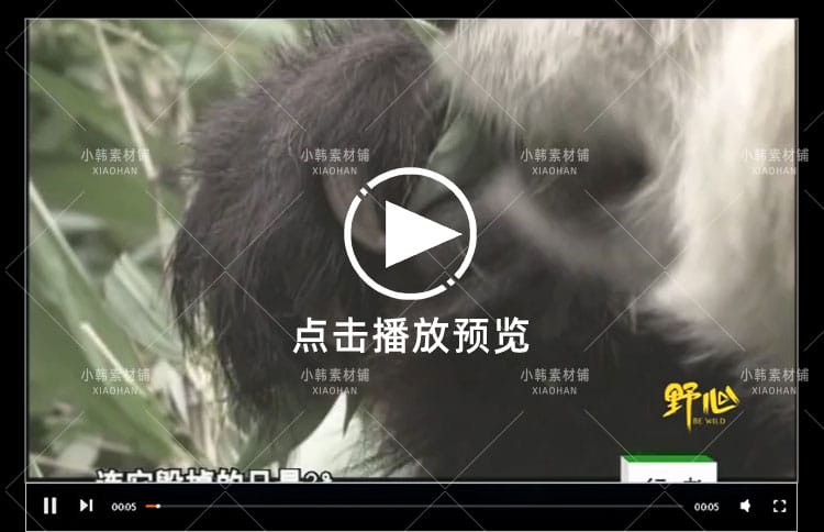 野生动物保护纪录片熊猫列传全10集中视频自媒体解说高清视频素材