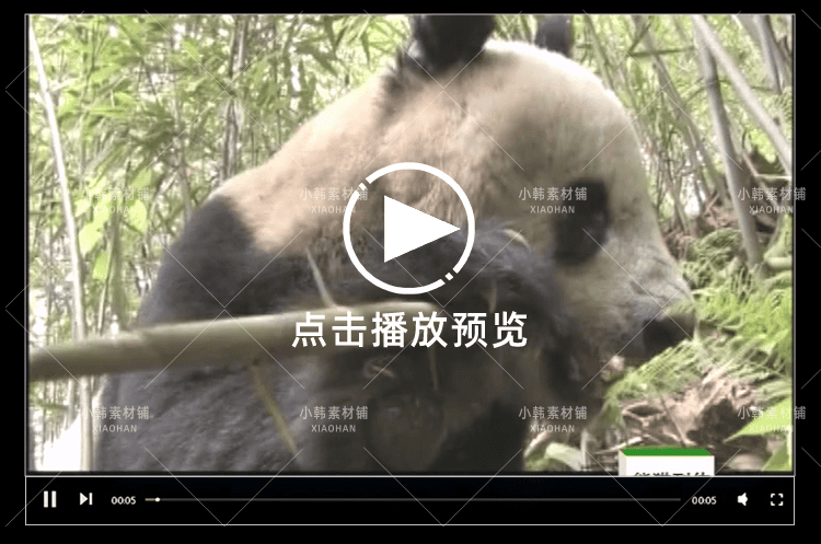 野生动物保护纪录片熊猫列传全10集中视频自媒体解说高清视频素材