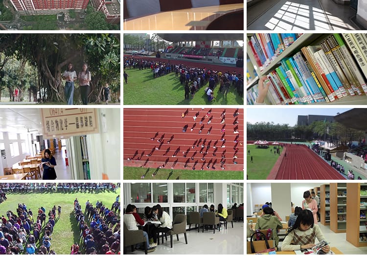 学校园多彩生活运动毕业季扔抛学士帽毕业典礼大学生学习视频素材