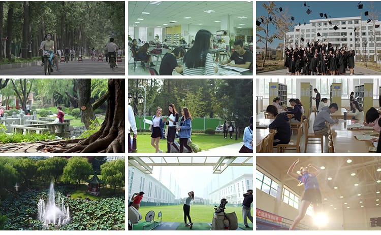 学校园多彩生活运动毕业季扔抛学士帽毕业典礼大学生学习视频素材