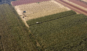 收割机收割成熟天地机械化生产系列视频素材