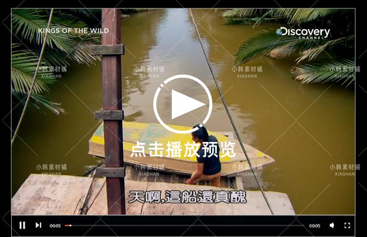 探索频道荒野美食纪录片丛林野食王中视频自媒体解说高清视频素材