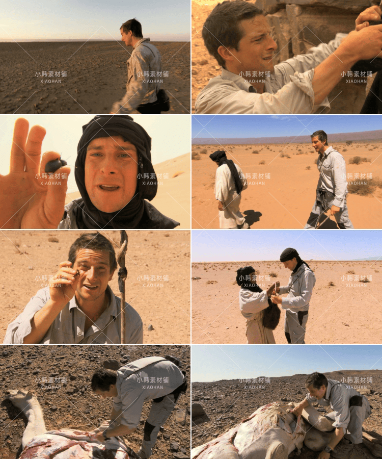 荒野挑战纪录片贝爷荒野求生1080P自媒体电影解说抖音短视频素材