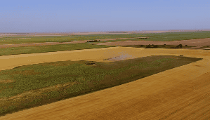 多台大型收割机作业机械化生产系列视频素材