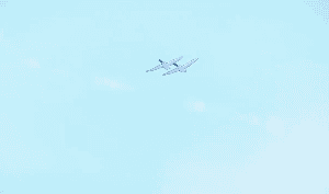 白燕飞过天空镜头日本动漫视频素材