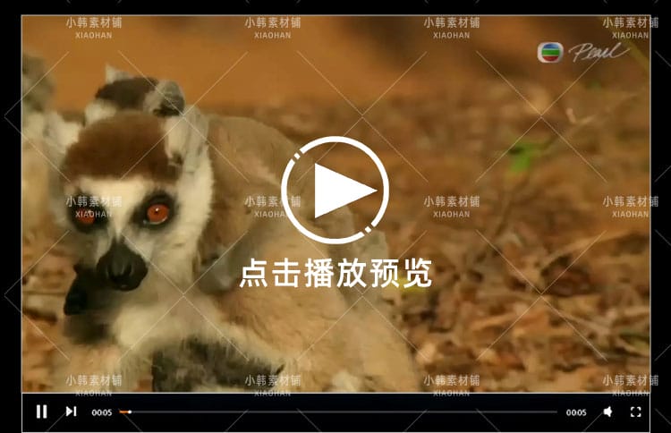 BBC动物探索纪录片猴子大观全3集中视频自媒体解说高清视频素材