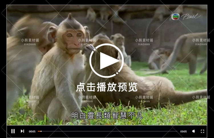 BBC动物探索纪录片猴子大观全3集中视频自媒体解说高清视频素材