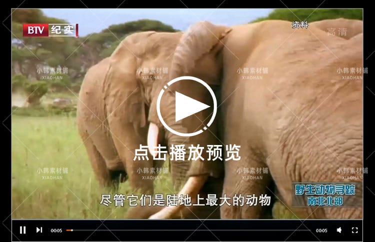 BBC野生动物寻踪纪录片娜奥米的自然恶梦中视频自媒体视频素材