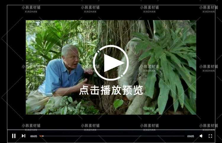 BBC野生动物纪录片哺乳类全传中视频自媒体解说高清剪辑视频素材