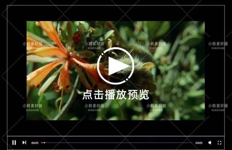 BBC野生动物纪录片哺乳类全传中视频自媒体解说高清剪辑视频素材