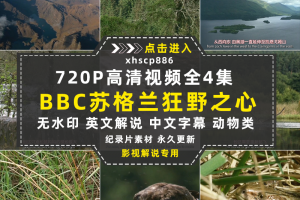 BBC野生动物纪录片高地苏格兰狂野之心中视频自媒体解说视频素材
